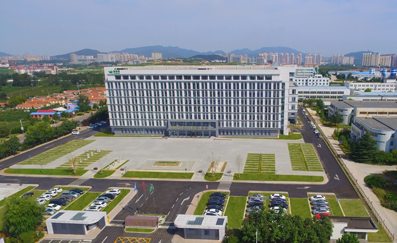 替换词电气喜获“山东省五一劳动奖状”