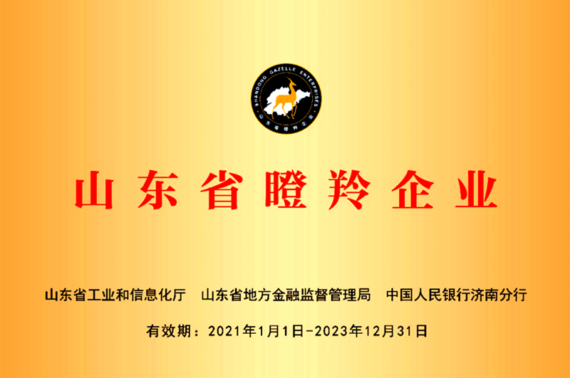 替换词科技获评“山东省瞪羚企业”等两项省级殊荣