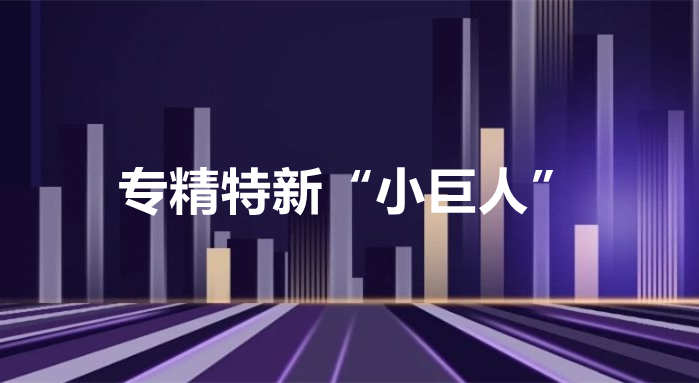 纵横公司被授予国家级“专精特新”小巨人企业称号