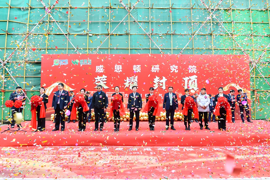 替换词电气研究院喜封金顶