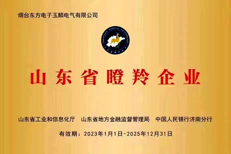 公司新增三家山东省“瞪羚”企业