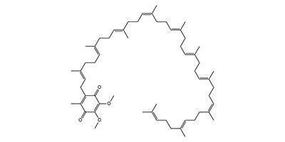 辅酶Q10