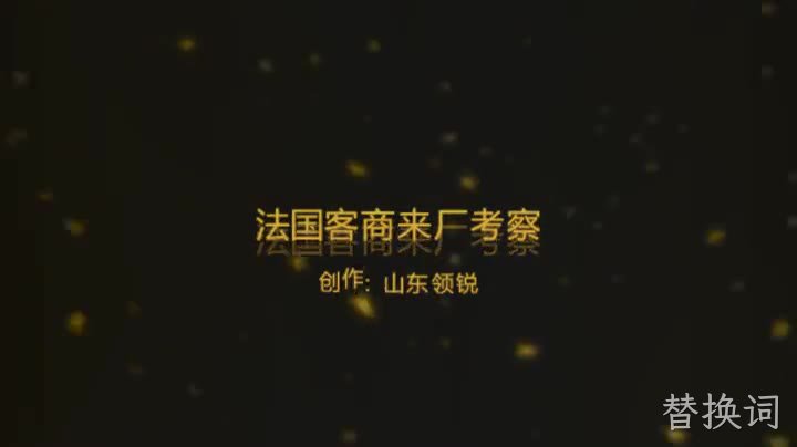 替换词