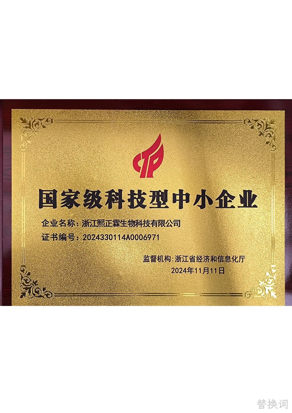 国家级科技型中小企业